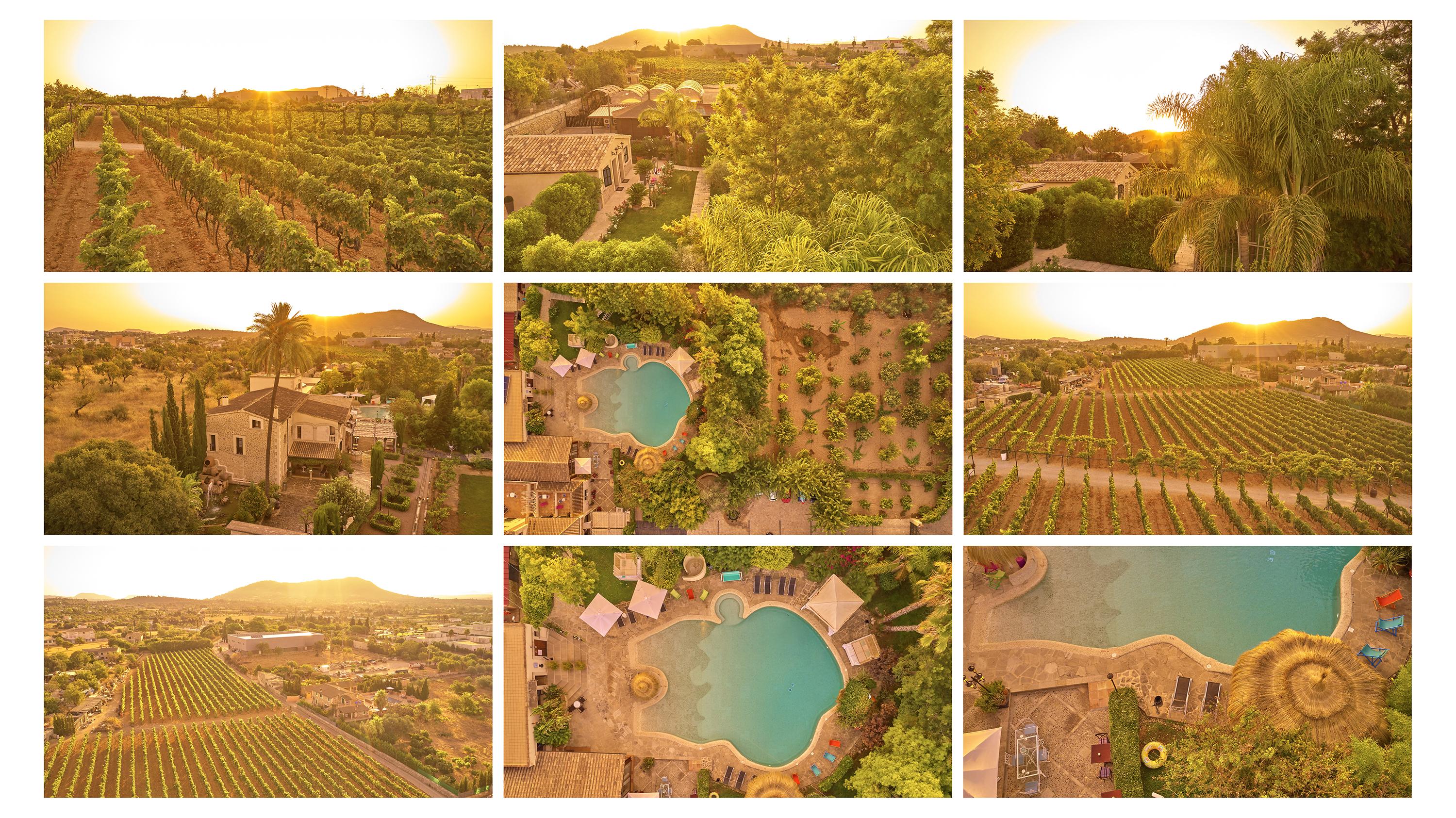 Agroturismo Sa Vinya Des Convent Инка Экстерьер фото